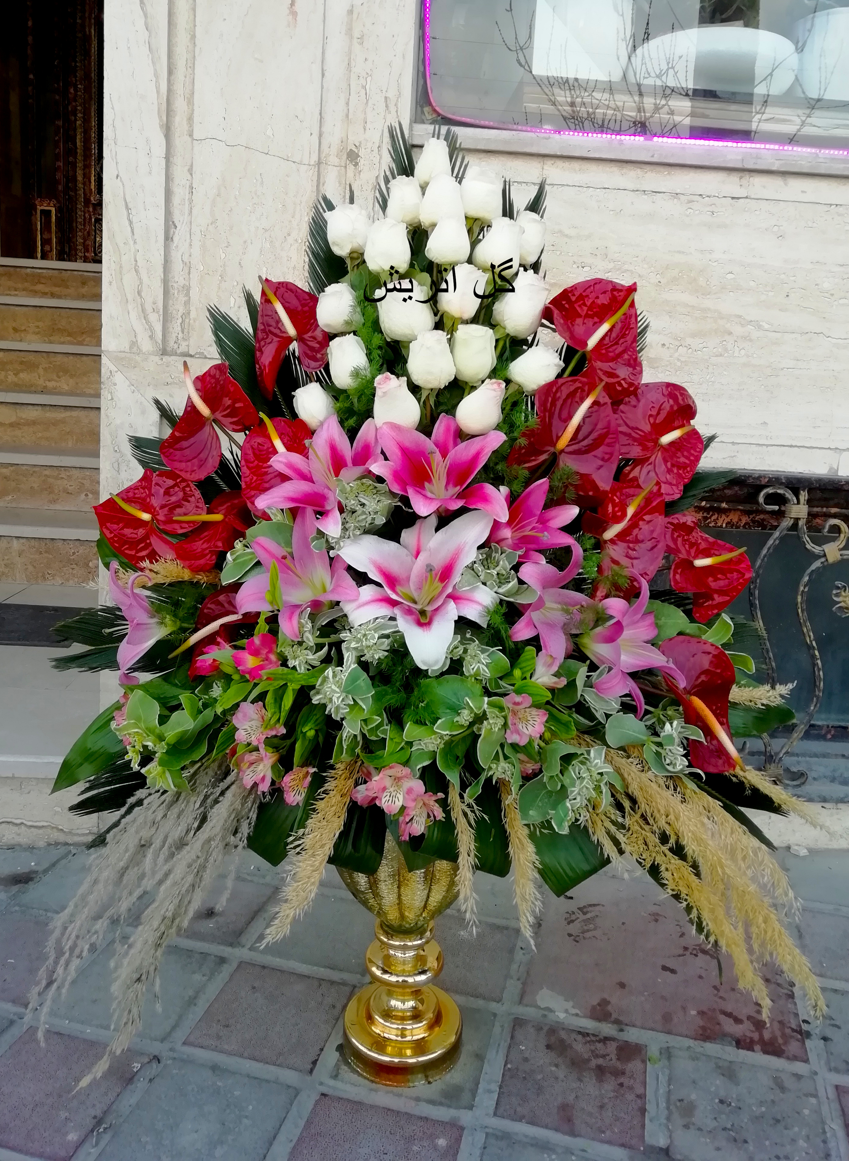 پیشنویس ۲۱